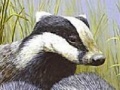 Gioco Three polecat puzzle
