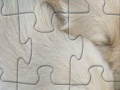 Gioco Puppies jigsaw