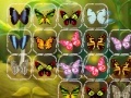Gioco Batterfly Connect