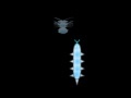 Gioco Cyber Worm 