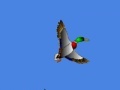 Gioco I just seen a duck 