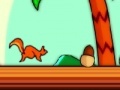 Gioco Squirrel squash 2