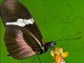 Gioco Fantastic butterfly puzzle