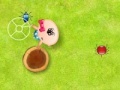 Gioco Catch the Insects