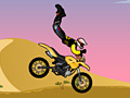 Gioco Acrobatic Rider