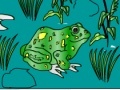 Gioco Frog Coloring