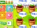 Gioco Grow your own flower