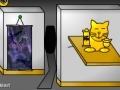 Gioco Puzzle