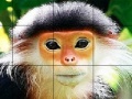 Gioco Elderly monkey slide puzzle