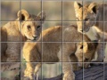 Gioco Swing and set african cats
