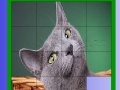 Gioco Grizzle cat slide puzzle