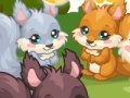 Gioco Squirrel Care