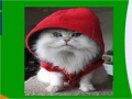 Gioco Hooded cat slide puzzle