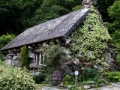 Gioco Puzzles: Cottage