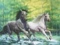 Gioco Fabulous running horses puzzle