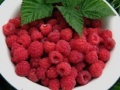 Gioco Raspberry puzzle 