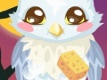 Gioco Owl Care