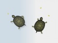 Gioco Turtles