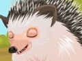 Gioco Cute hedgehog care