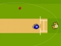 Gioco Cricket World Cup 2011