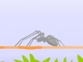 Gioco Spider Fighting