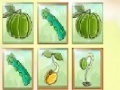 Gioco Fruit Match