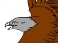 Gioco Birds Coloring Book