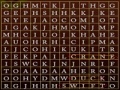 Gioco Word Search Gameplay - 22