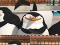 Gioco Penguin: Photo Puzzle