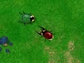 Gioco Beetle Wars