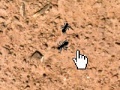 Gioco Ant Splat