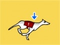 Gioco Greyhound Racer DX