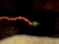 Gioco Cave Flyer 2 - Flying through a cave to the max