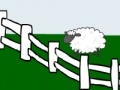 Gioco Sheep