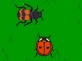 Gioco The lady bug
