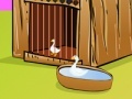 Gioco Duck escape