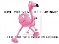 Gioco Flamingo