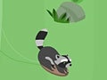Gioco Feral Slalom
