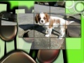 Gioco Pretty Puppies Puzzles
