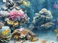 Gioco Underwater World