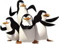 Giochi dei Pinguini di Madagascar