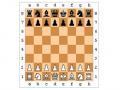 Giochi di scacchi 